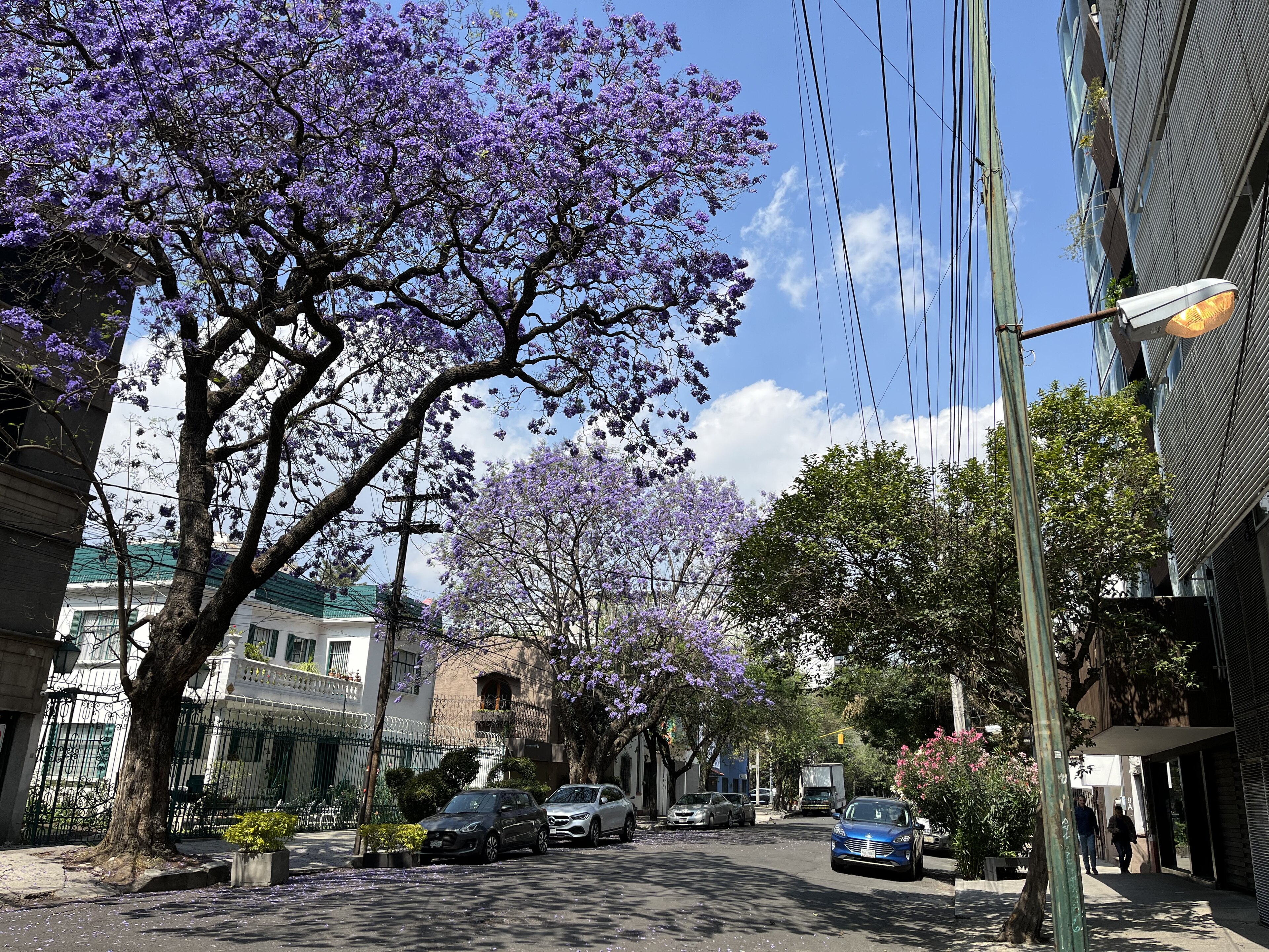 Where to Stay in Condesa